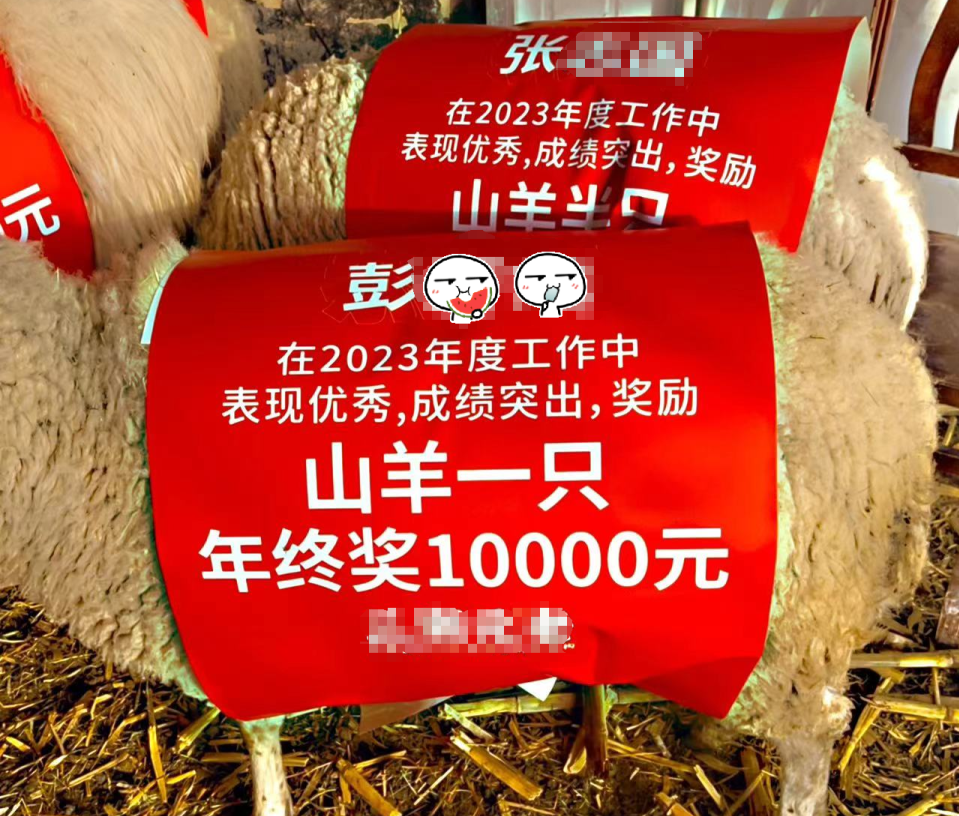巨型活物｜廣州企業年終出2個月人工 再送17隻山羊 補償去年冇錢出花紅 員工旅遊又放飛機