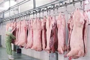 中國出手｜反擊歐盟加徵電動車臨時關稅  中國商務部宣佈對歐盟3豬肉供應商啟動反傾銷調查